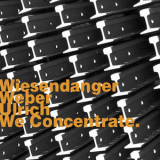 Chris Wiesendanger, Christian Weber, Dieter Ulrich - We Concentrate. '2014