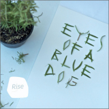 Eyes Of A Blue Dog - Rise '2013