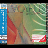 David Sanborn - Voyeur '1981