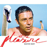 Baxter Dury - Pleasure '2014