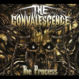 The Convalescence - The Process '2014