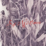 Sieben - Sex And Wildfowers '2003