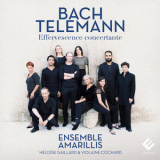 Ensemble Amarillis - Bach & Telemann: Effervescence Concertante '2017