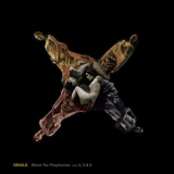Grails - Black Tar Prophecies, Vol's 4, 5 & 6 '2013