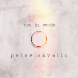 Peter Cavallo - Not In Words '2018