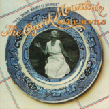 The Ozark Mountain Daredevils - It'll Shine When It Shines (1974) '1974