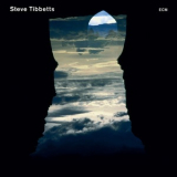 Steve Tibbetts  - Natural Causes  '2010