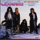 Cinderella - Don't Know What You Got (Till It's Gone) '1988
