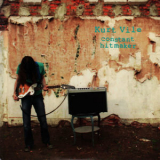 Kurt Vile - Constant Hitmaker '2008