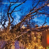 Susan Abod - Holiday Time In Santa Fe '2017