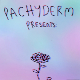 Pachyderm - Verge '2018