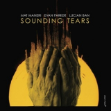 Mat Maneri Evan Parker Lucian Ban - Sounding Tears '2017