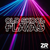 Joey Negro - Joey Negro Presents Old Skool Flavas '2010