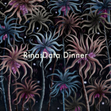 Rina - Data Dinner '2018