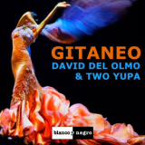 David Del Olmo - Gitaneo '2016