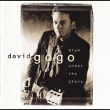 David Gogo - Dine Under The Stars '1997