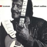 Albert Collins - Iceman '1991