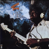 Albert King - I Wanna Get Funky '1972