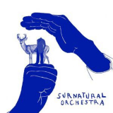 Surnatural Orchestra - Sans Tete (2CD) '2016