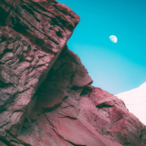 Bonobo - Linked '2019