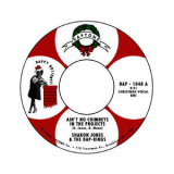 Sharon Jones & The Dap-Kings - Ain't No Chimneys In The Projects '2010