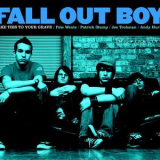 Fall Out Boy - Take This To Your Grave '2003