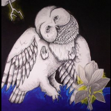 Songs: Ohia - The Magnolia Electric Co. (10th Anniversary Deluxe Edition) (2CD) '2013