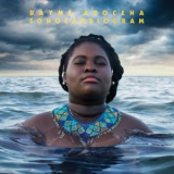 Dayme Arocena - Sonocardiogram '2019