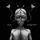 Rind - Strange Birds '2018