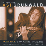 Ash Grunwald - Introducing '2002
