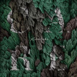Riverbeds - Care '2019