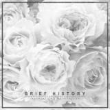 Brief History - Brief History '2019