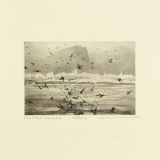 Erland Cooper & William Doyle - Murmuration '2018