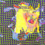 Animal Collective - Ballet Slippers '2019