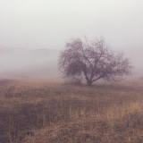 The Colorful Quiet - Daydreams '2018