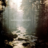 Northern Lite - Mixed Forest '2014