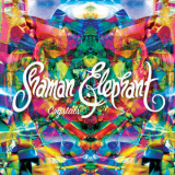 Shaman Elephant - Crystals  '2016