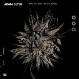 Adam Beyer - What You Need (Kolsch Remix) '2019