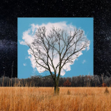 Fink - Bloom Innocent '2019