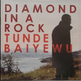 Tunde Baiyewu - Diamond In A Rock '2013