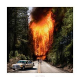 Ladytron - Ladytron '2019