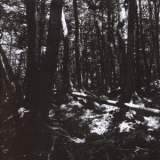 Tokyo Shoegazer - Turnaround '2013