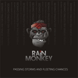 Rain Monkey - Passing Storms And Fleeting Chances '2019