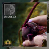 Beatroots - Providing Pressure '2016