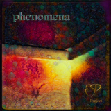 Esp Project - Phenomena '2020