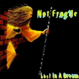 Not Fragile - Lost In A Dream '1993