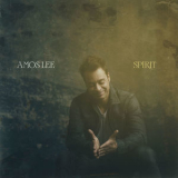 Amos Lee - Spirit '2016