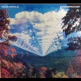 Tame Impala - Innerspeaker '2010