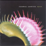 Cowboy Junkies - Open '2001