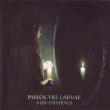 Psilocybe Larvae - Non-existence '2008